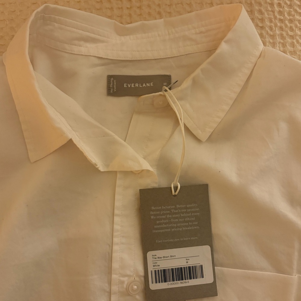 Everlane Cropped Button Down Shirt (NWT)